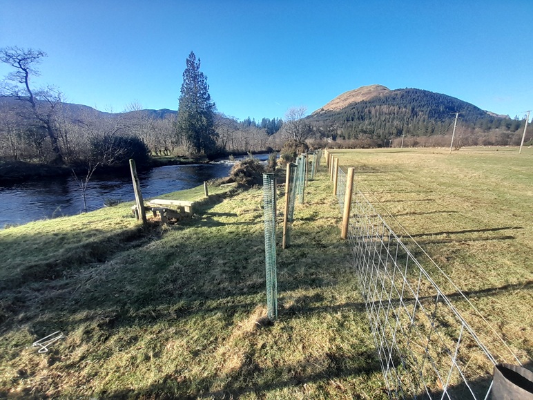 New fencing and tree planting in an expanded riparian zone