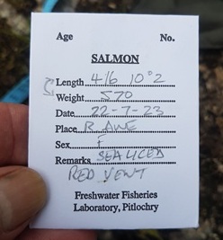 Information collected from the fish is recorded on scale packets