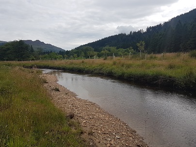 Stabilising long sections of bank has improved the quality of cover for fish while reducing the fine sediment in the riverbed