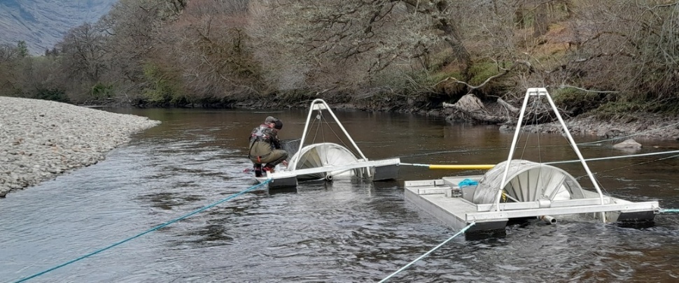 Removing smolts from the traps in the lower reach of the River Orchy