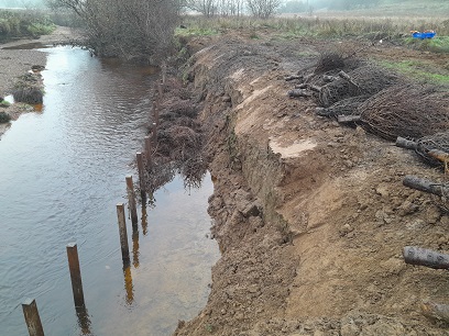 Green bank revetment installation on a collapsed bank